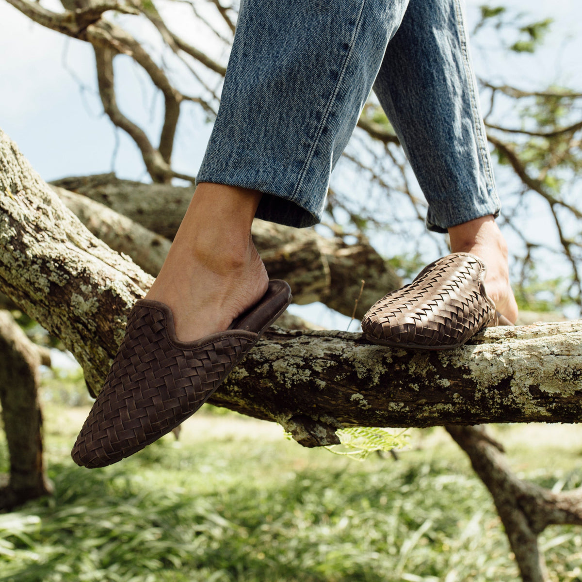 Mi‘i  -  Dark Java / Dark Java